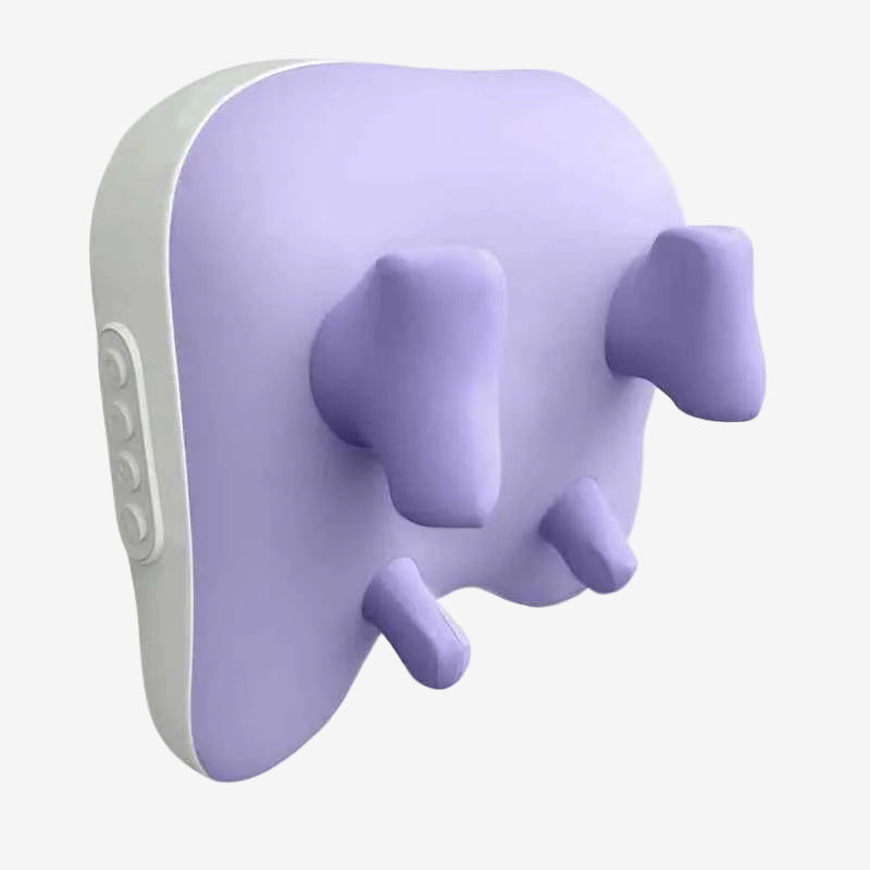 Electric Massage Pillow